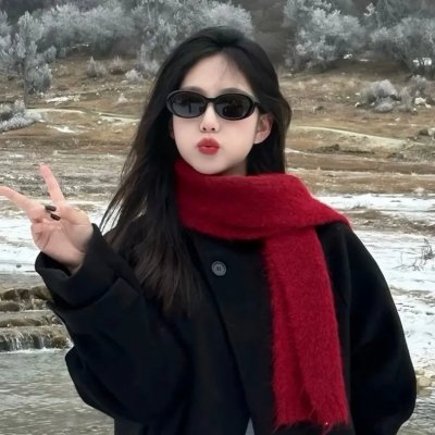 巡回检察组